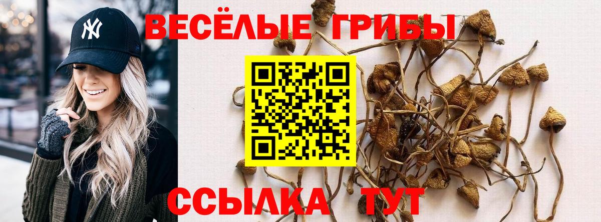 Коркино  Галлюциногенные грибы мухоморы  Псилоцибиновые грибы Magic Shrooms  Вход с VPN 